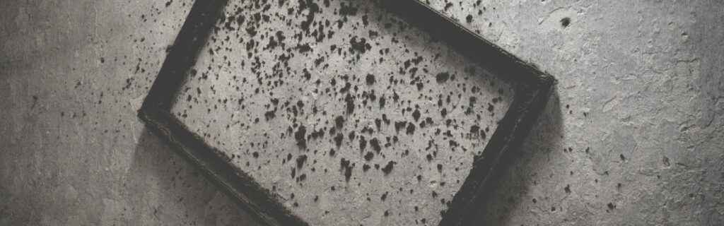 Black mold removal