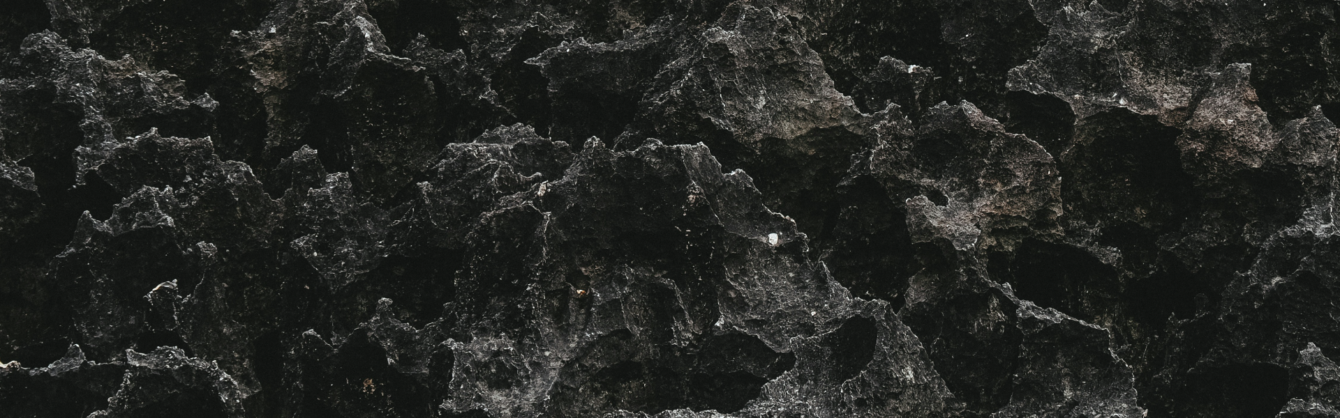 Black mold removal