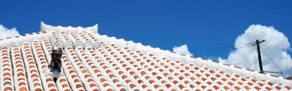 Roof paint