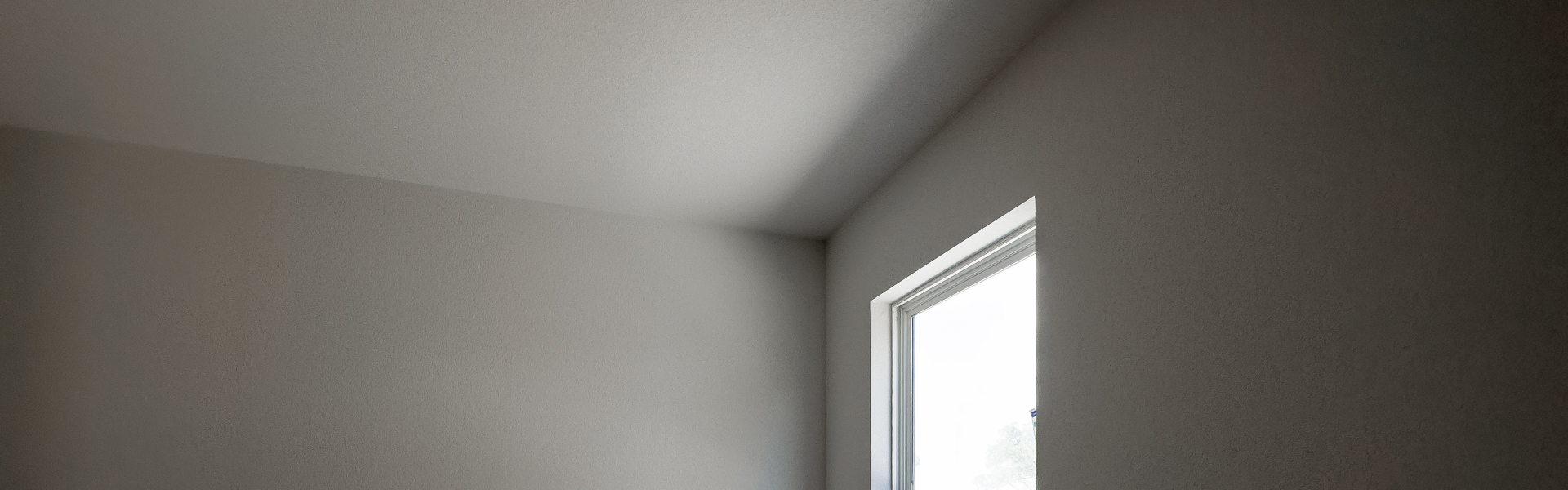 Ceiling Primer