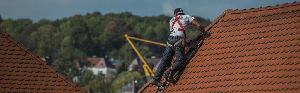 Roof paint