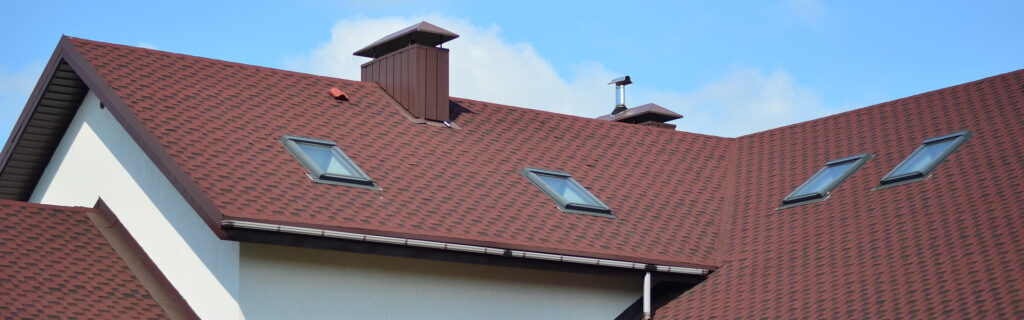 Roof painting
